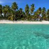 Saona Island: Small Group Virgin Beaches Cruise Day Trip - Image 3