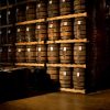 Ron Barcerló: Rum Factory Tour with Rum Tastings - Image 3