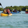 Punta Cana: Los Haitises Hike & Kayaking Mangroves - Image 2