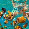 Puerto Plata: Catamaran Snorkeling Trip with Buffet - Image 3