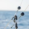 From Punta Cana: Deep Sea Fishing Tour by Boat with Drinks - Image 3