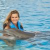 Punta Cana: Swim with Dolphins in the Pool - Image 3