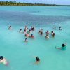 Saona Island Tour From Santo Domingo with Lunch and Pickup - Image 3