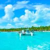 From Punta Cana: Isla Saona Full-Day Tour with Buffet Lunch - Image 2