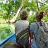 Los Haitises: Boat Tour Sabana de la mar, Caves & Mangroves - Image 3