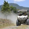 From Samaná: Baiguate Waterfall and Jarabacoa Buggy Tour - Image 2