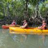 Los Haitises All One: Kayaking, Hiking, Boat, and Swimming - Image 3