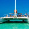 Saona Island - ¡Full Day Open Bar, Lunch and Round Trip! - Image 3