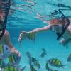 Punta Cana Private Catamaran (Big Group) - Image 3