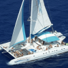 Punta Cana: Saona Island Catamaran Day Trip with Tickets and Lunch - Image 2