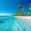 Punta Cana: Catalina Island Scuba Diving Day Trip - Image 3