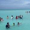 Explora la Experiencia: Tours de Punta Cana a Isla Saona - Image 3