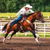 HORSEBACK RIDING BEACH MACAO PUNTA CANA WITH PICKUP HOTEL - Image 3