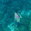 From Punta Cana: Catalina Snorkeling & Altos de Chavon Tour - Image 2