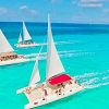 Aventura Exótica a Isla Saona: Paraíso en la Piscina Natural - Image 3