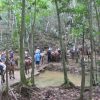 From Punta Cana: Samaná, Cayo Levantado & El Limón Waterfall - Image 3