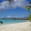 Saona Island: 6 Hour Private Tour with Snorkeling - Image 2