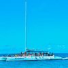 Saona Island From Punta Cana - Image 3