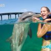 Punta Cana Dolphin Swim Adventure: 40-min Dolphin Experience - Image 3