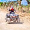 Punta Cana: Horseback Riding On The Beach With Pickup - Image 3