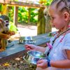 From Bayahibe: Half Day Monkeyland Safari - Image 3