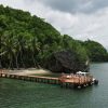 Punta Cana: Los Haitises Hike & Kayaking Mangroves - Image 5