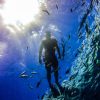 Punta Cana: Full-Day Snorkeling Tour to Catalina Island - Image 10