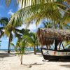 Punta Cana: Boat Tour to Isla Saona, Open Bar & Buffet Lunch - Image 12