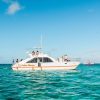 Punta Cana: Catamaran Tour with Open Bar and Reef Snorkeling - Image 12