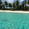 Saona Island: Small Group Virgin Beaches Cruise Day Trip - Image 12