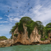 Los Haitises Boat Ride + Caño Hondo Natural Pools - Image 2