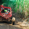 From Bayahibe: Half-day La Romana ATV or 4X4 Buggy Tour - Image 23