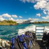 Punta Cana: Full-Day Snorkeling Tour to Catalina Island - Image 11