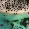 Pivate boat Saona Island Day Trip with Snorkeling and Lunch - Image 10