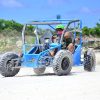 Punta Cana: Buggy Ride, Blue Cenote Lagoon and Jungle River - Image 12