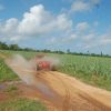 From Bayahibe: Half-day La Romana ATV or 4X4 Buggy Tour - Image 22