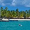 From Punta Cana: Saona Island Full Day Trip with Lunch - Image 14