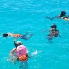 Punta Cana: Catamaran Tour with Open Bar and Reef Snorkeling - Image 14