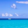 Saona Island Day Trip + Lunch + Open Bar from Punta Cana - Image 14