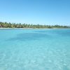 Saona Island: Beach & Natural Pool Small-Group Tour w/ Lunch - Image 13