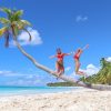 Saona Island: Incredible day With buffet from Punta Cana - Image 14