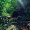 Punta Cana: Los Haitises Hike & Kayaking Mangroves - Image 3