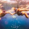 Punta Cana: Full-Day Snorkeling Tour to Catalina Island - Image 13