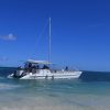 Small-Group Cruising and Snorkeling Catamaran Tour - Image 2