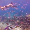 Punta Cana: Full-Day Snorkeling Tour to Catalina Island - Image 14