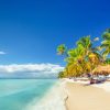 From Punta Cana: Saona Island Full Day Trip with Lunch - Image 16