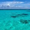 Saona Island: Small Group Virgin Beaches Cruise Day Trip - Image 2