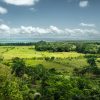 3in1: Los Haitises N P + Yanigua Waterfall + Montaña Redonda - Image 16