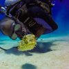 Catalina Island Scuba Diving Tour from Punta Cana - Image 2