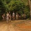 Punta Cana: Zipline, Chairlift, Buggy & Horse Ride Adventure - Image 17